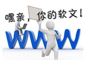 惠州邦,企业须知新网站如何快速引流量